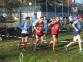 cross senigallia 053